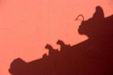 国产肉鸽游戏《黑白剑刃》Steam页面上线 发售日期待定